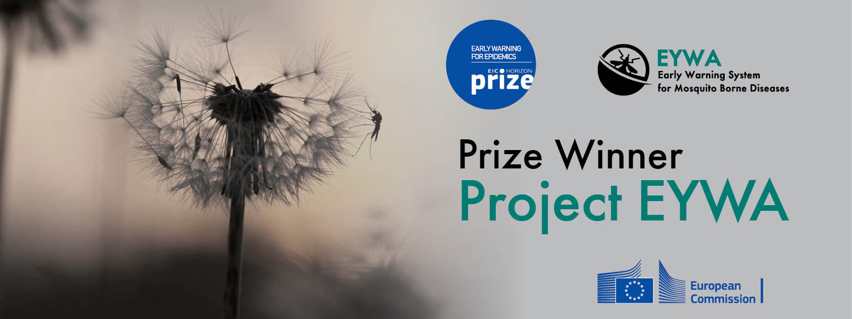 EYWA_banner_winner_long